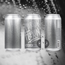Mirror Flexin Hazy Double IPA: 4-Pack